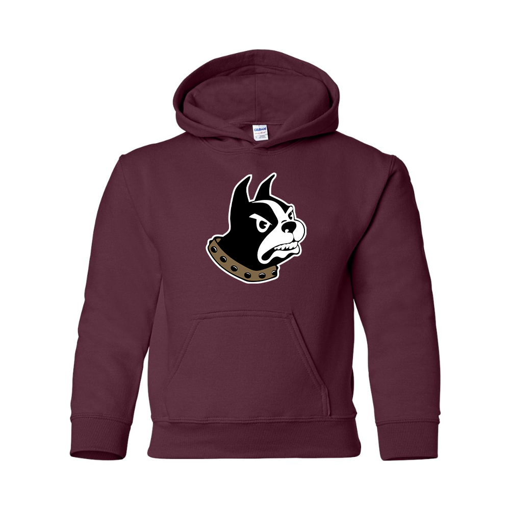 Youth Wofford Terriers Gildan Heavy Blend  Hooded Sweatshirt